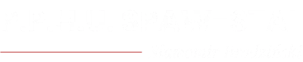 SpawStal PPHU Logo